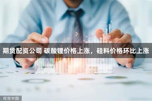 期货配资公司 碳酸锂价格上涨，硅料价格环比上涨