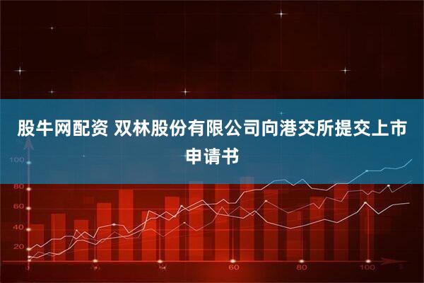 股牛网配资 双林股份有限公司向港交所提交上市申请书