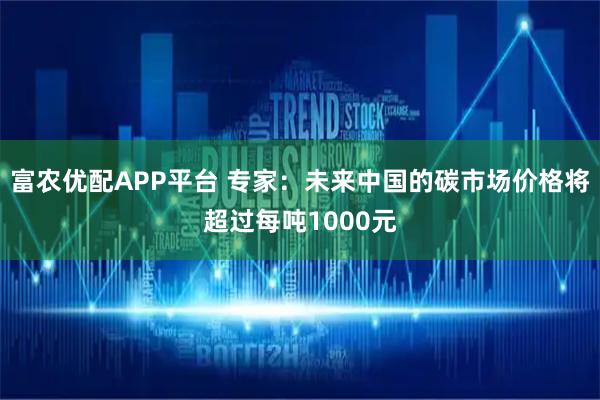 富农优配APP平台 专家：未来中国的碳市场价格将超过每吨1000元