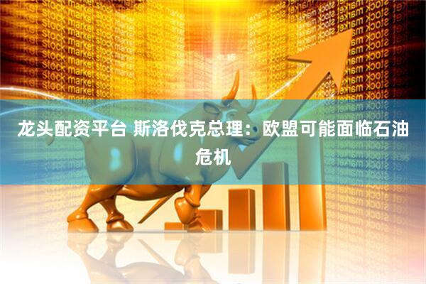 龙头配资平台 斯洛伐克总理：欧盟可能面临石油危机